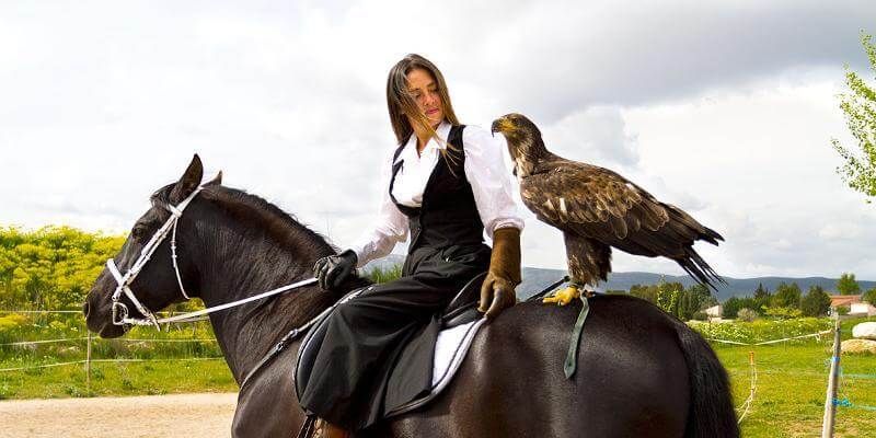 parc animalier Les Aigles du Verdon