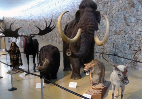 Musée de la Préhistoire des Gorges du Verdon
