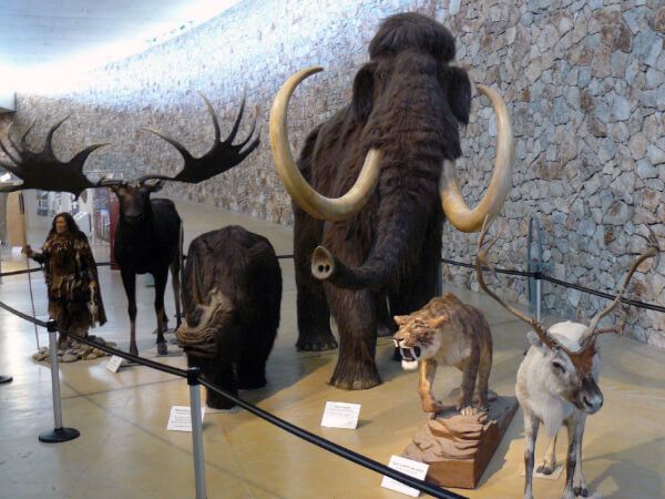 Musée de la Préhistoire des Gorges du Verdon