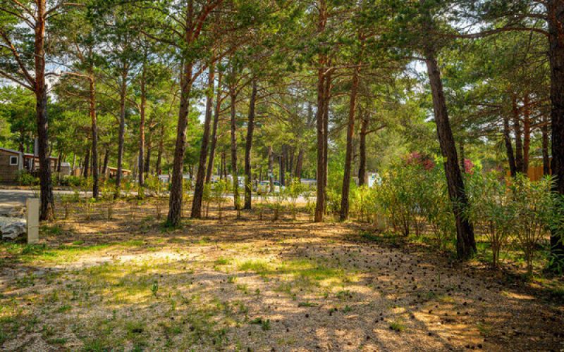 Camping La Farigoulette Ciela Village Saint-Laurent-Du-Verdon emplacement gorges du verdon nature arboré